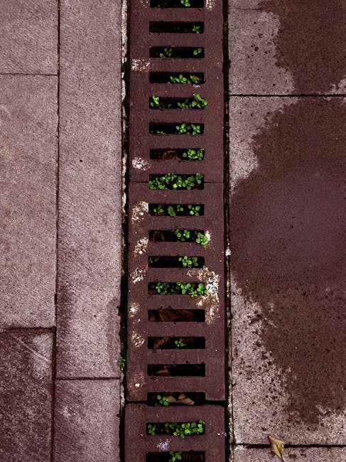 A close-up view of a metal drainage grate embedded in a paved outdoor surface, with small green plants growing through the gaps between the grate slats. The surrounding area consists of concrete paving slabs with a reddish-brown hue, some appearing slightly weathered or stained. Behind the grate, parts of the pavement show irregular patches of moisture or dirt, and one dried leaf is visible on the ground near the bottom right corner. The scene is illuminated by natural daylight, highlighting the texture of the pavement and the plants emerging through the drainage grate, which is part of a typical home exterior, potentially during a home relocation or moving process involving careful handling of outdoor fixtures. The image aligns with principles of house removals, where outdoor elements like drainage systems are considered during moving logistics, and occasionally supervised by companies like Man With a Van Hendon.